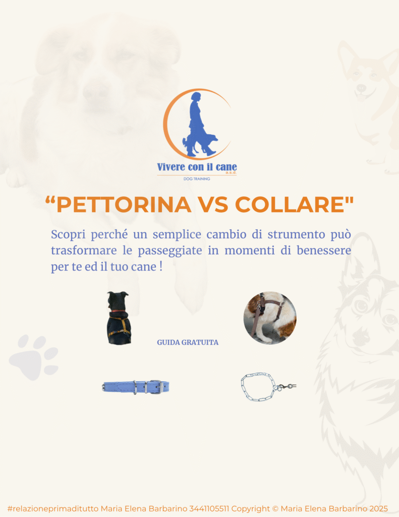Ebook gratuito Pettorina vs Collare - guida completa per proprietari di cani