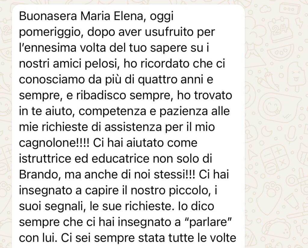 Messaggio WhatsApp cliente Angela per istruttore cinofilo Caiazzo - 4 anni di supporto educativo e comportamentale Golden Retriever Brando