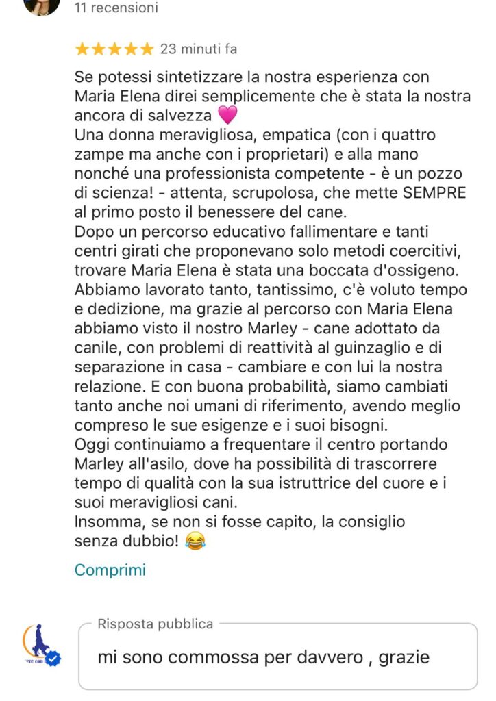 Recensione 5 stelle Google di F.D.P. per educatore cinofilo Maria Elena Barbarino - Risoluzione reattività e ansia da separazione cane Marley a Caiazzo Caserta
