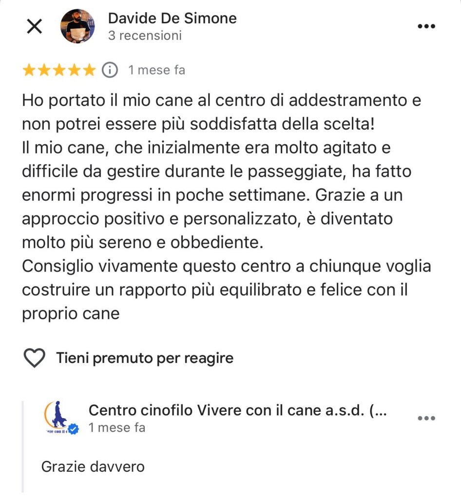 Recensione Google 5 stelle Davide De Simone - Centro Cinofilo Vivere con il Cane Caiazzo - Cane Brando più sereno e obbediente dopo percorso educativo