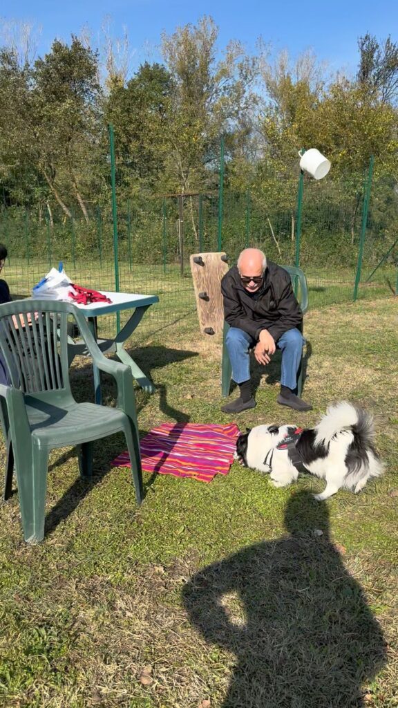 cane tornato alla base sicura target copertina