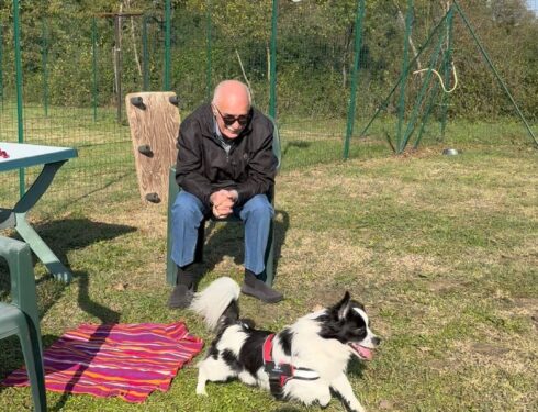 Cane dalla base sicura va in perlustrazione