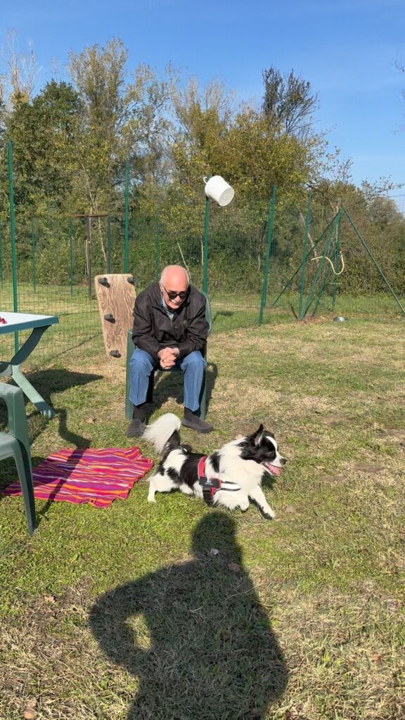 cane pronto a tornare sull'attivita al centro del campo