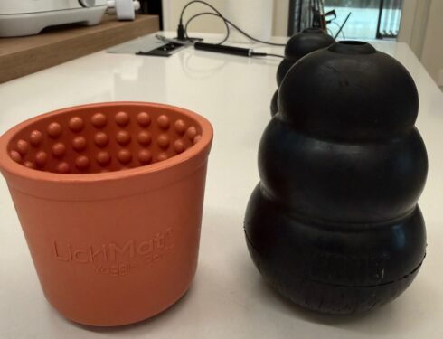 kong -yoggie pot- arricchimento ambientale- giochi casalinghi cane